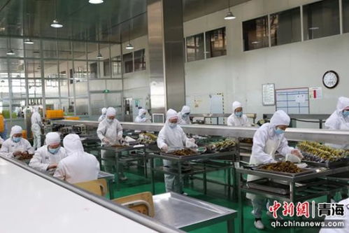 西寧 全力打造農畜產品高品質精深加工中心