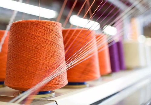 媽耶 貝拉 哈迪德套上歐巴桑の開衫也太性感了吧