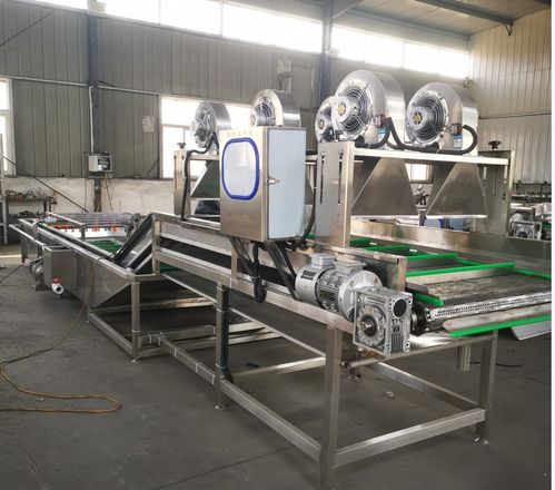 迪凱石榴產品清洗加工流水線設備調試完成