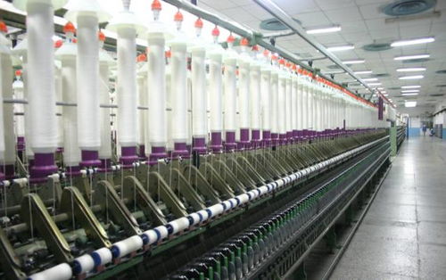 行業(yè)低靡 這家紡企的年利潤卻在10年里增長了305