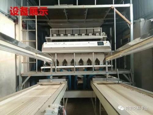 中國(guó)花生市場(chǎng)網(wǎng)為您推薦 灤縣通達(dá)花生加工廠