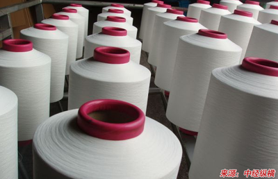 我國空氣變形紗的紡紗技術及發展的融資計劃書