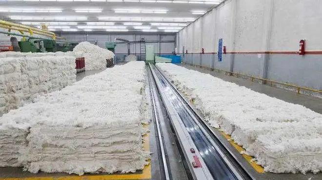 關于開展&ldquo;智目智能杯&rdquo;棉花知識及應用技術專題學習月的活動通知