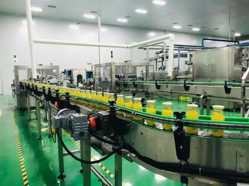 外行吃燕窩,內行吃這個