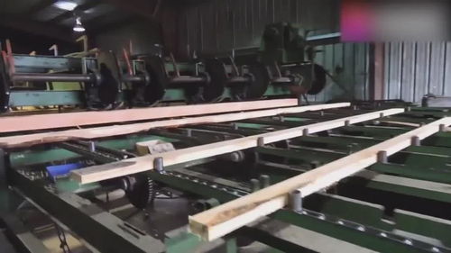 自動化木材加工廠,整棵原木進去出來就是木板