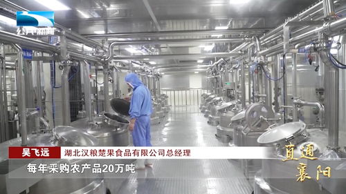 湖北省老河口市 四大農(nóng)業(yè)產(chǎn)業(yè)鏈 助力農(nóng)業(yè)高質(zhì)量發(fā)展