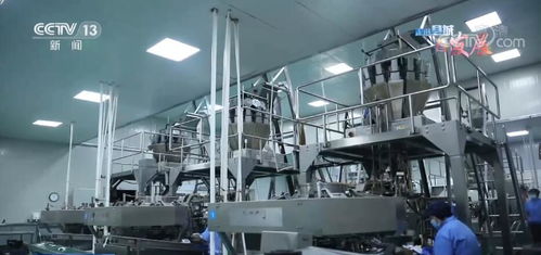 走進縣城看發展 培育 海產業 新動能 福建霞浦探索轉型升級路