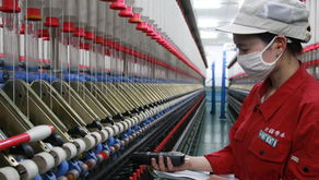 棉紡企業帶動種植戶產業化經營