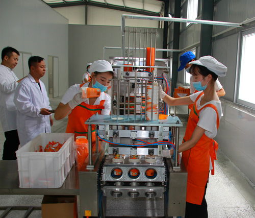 鎮(zhèn)安萬噸農(nóng)產(chǎn)品深加工投產(chǎn) 帶動萬名群眾脫貧致富