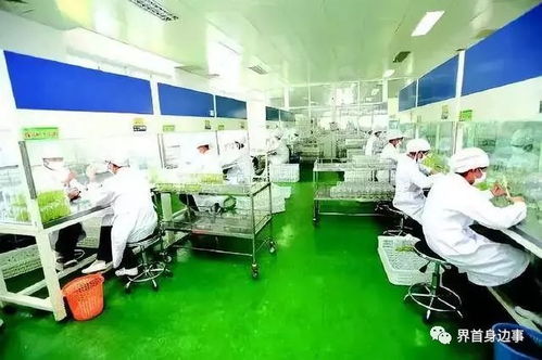 好消息 界首2個(gè)鄉(xiāng)鎮(zhèn)入選中央重點(diǎn)名單,將被重點(diǎn)發(fā)展