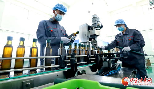 高臺 做強(qiáng)農(nóng)產(chǎn)品精深加工產(chǎn)業(yè) 鏈