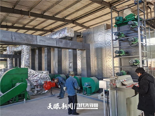 施秉 萬(wàn)畝魔芋產(chǎn)業(yè)升級(jí)，深加工與紡紗雙輪驅(qū)動(dòng)