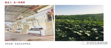 新疆棉花實(shí)地調(diào)研報(bào)告·南疆篇 印染加工的現(xiàn)狀與未來(lái)