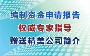供應專業提供鞏義市資金申請報告服務 河南瑞鼎 網站建設推廣 商業文案撰寫 平面廣告設計 企業管理咨詢 市場營銷策劃